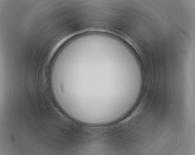X0000114160926200910081130