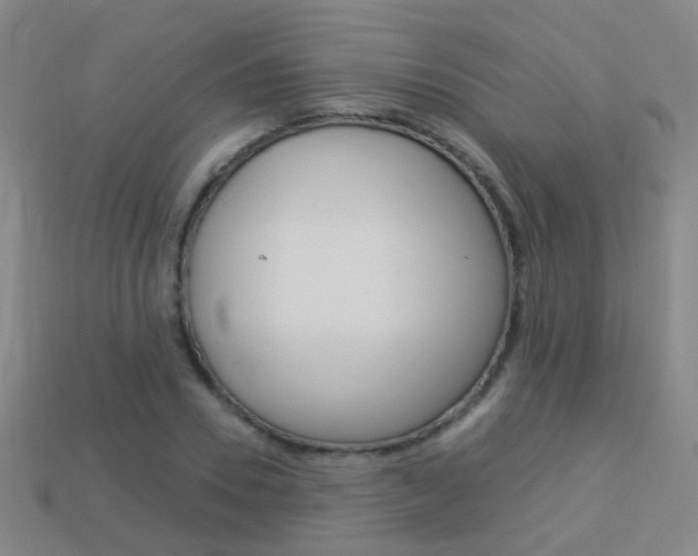 X0000114160930200910081130