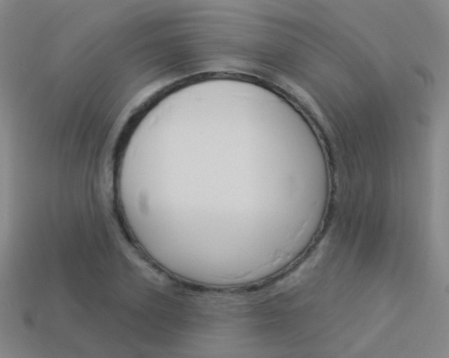 X0000114160931200910081131