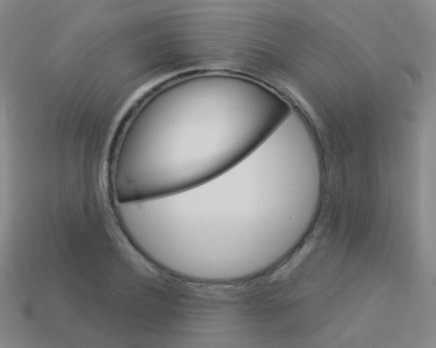 X0000114160932200910081131