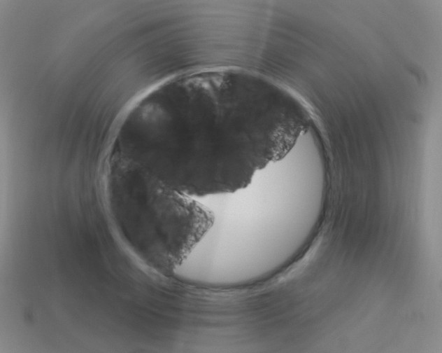 X0000114160933200910081131