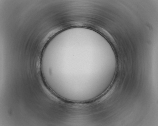 X0000114160938200910081131