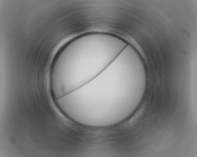 X0000114160939200910081131