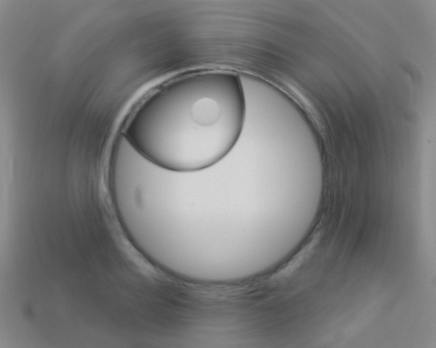 X0000114160940200910081131