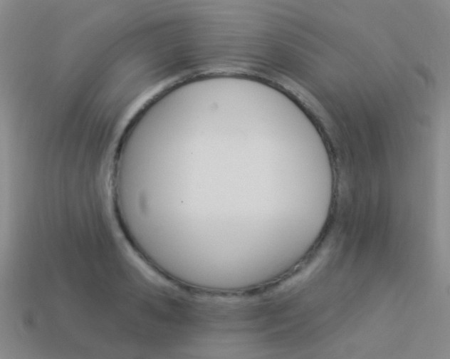 X0000114160941200910081131