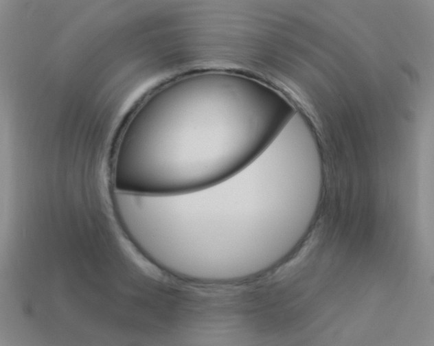 X0000114160942200910081131