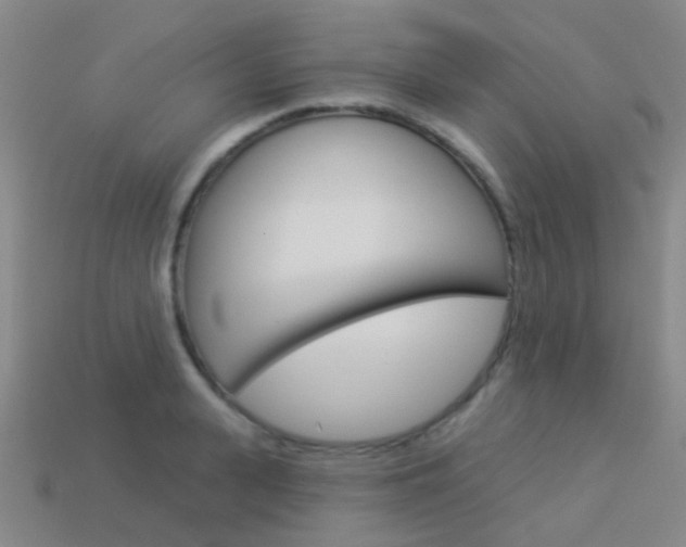 X0000114160943200910081131