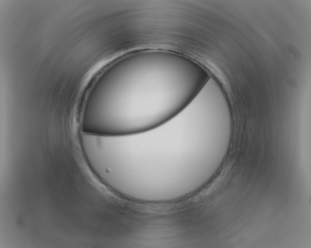 X0000114160944200910081131