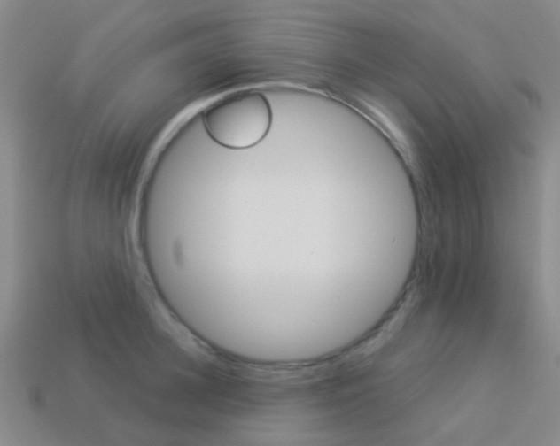 X0000114160948200910081131