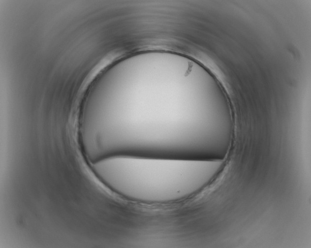 X0000114160949200910081131