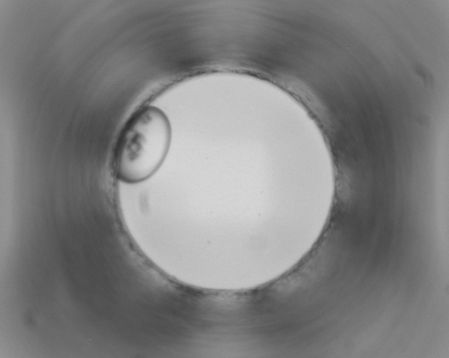 X0000114160950200910081131