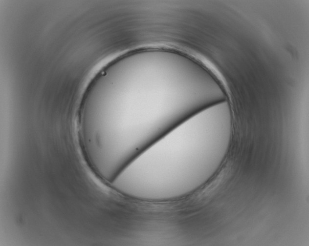 X0000114160951200910081131