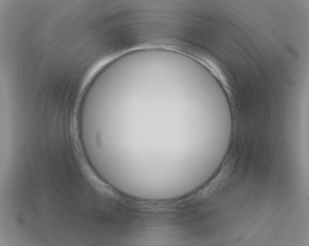 X0000114160952200910081131