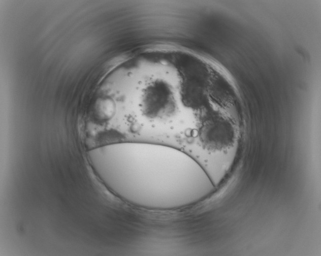X0000114160953200910081131