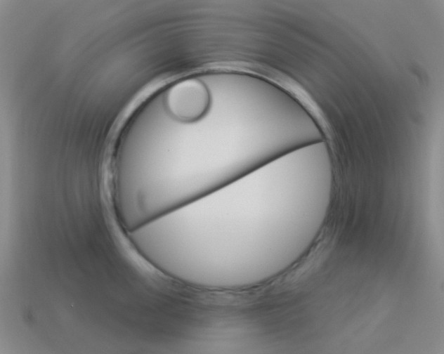 X0000114160955200910081131