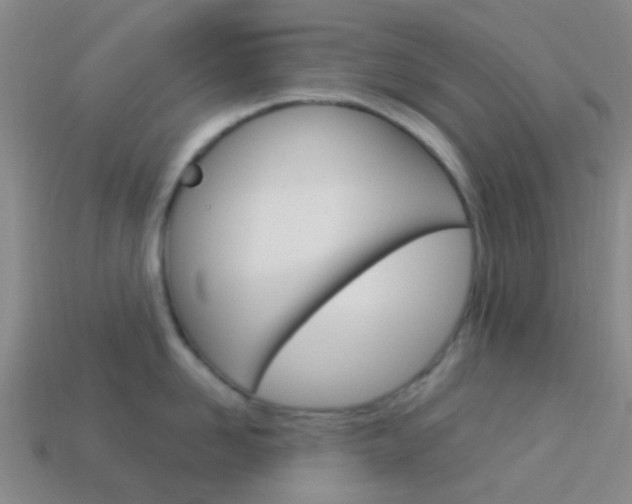 X0000114160958200910081131