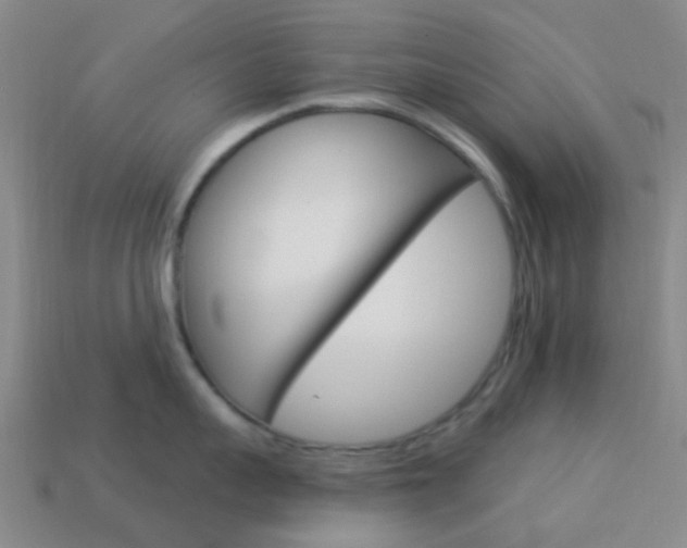 X0000114160959200910081131