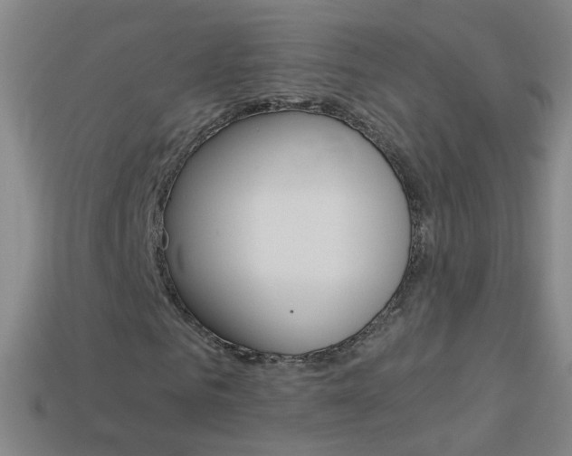 X0000114160961200910081130