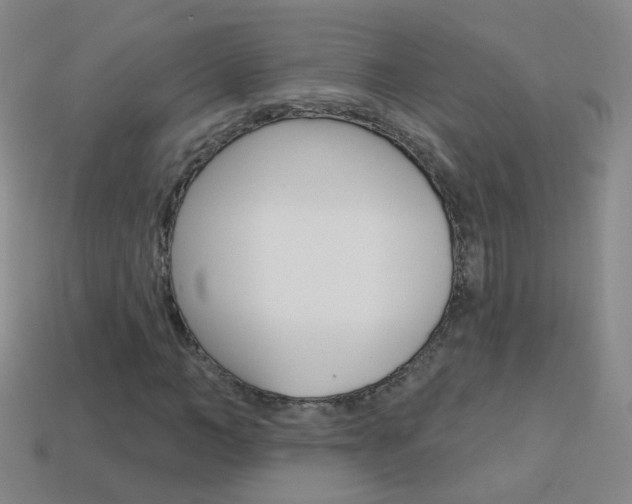X0000114160966200910081130