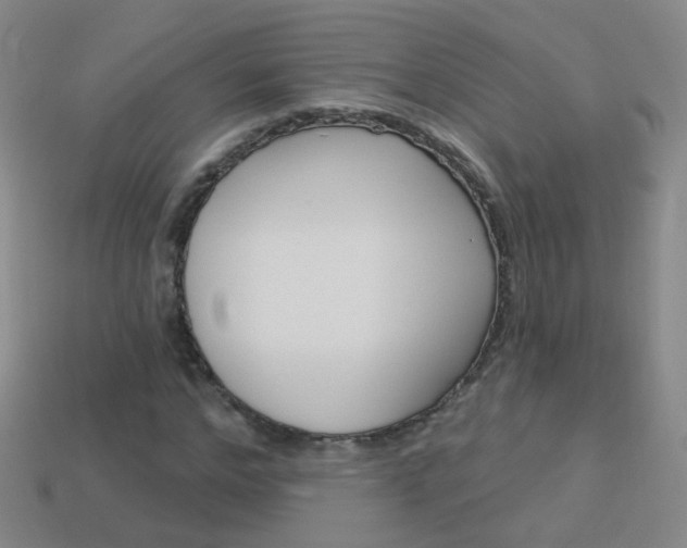X0000114160968200910081130