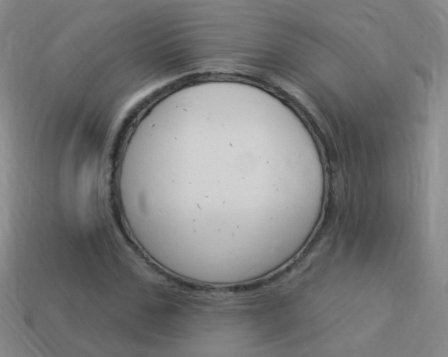 X0000114160971200910081130