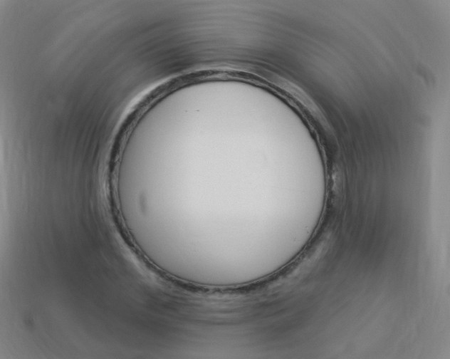 X0000114160972200910081130