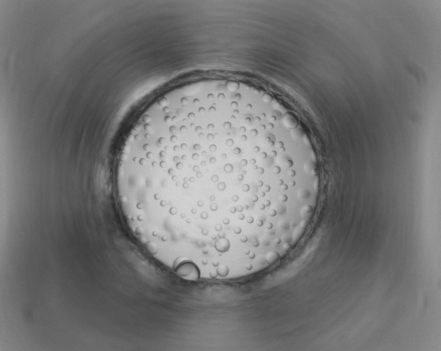 X0000114160974200910081130