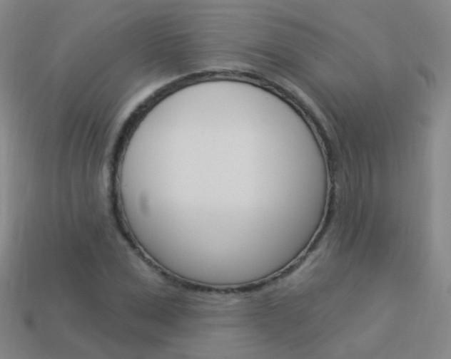 X0000114160975200910081130