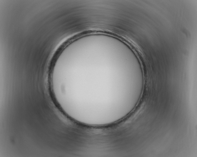 X0000114160976200910081130