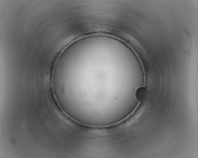 X0000114160977200910081130