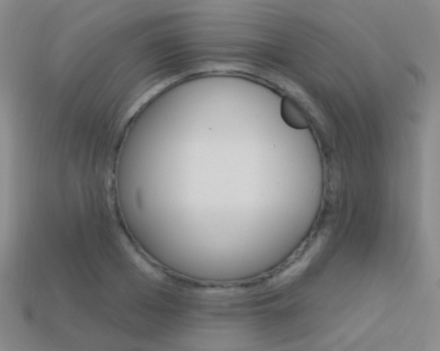X0000114160985200910081130