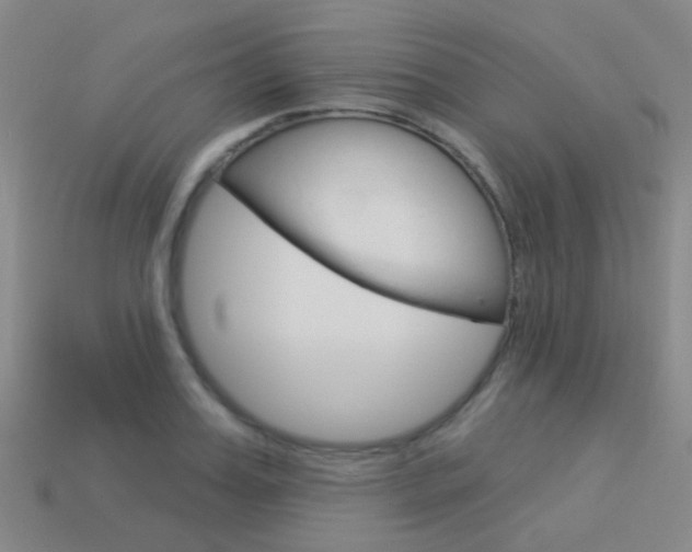 X0000114160987200910081130