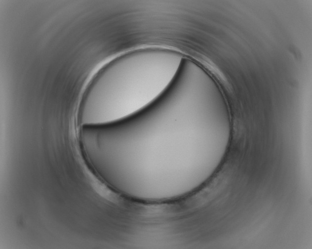 X0000114160988200910081130
