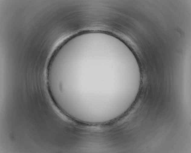 X0000114160990200910081130