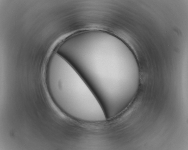 X0000114160995200910081130