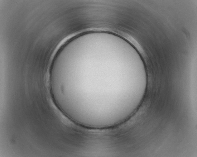 X0000114160996200910081130