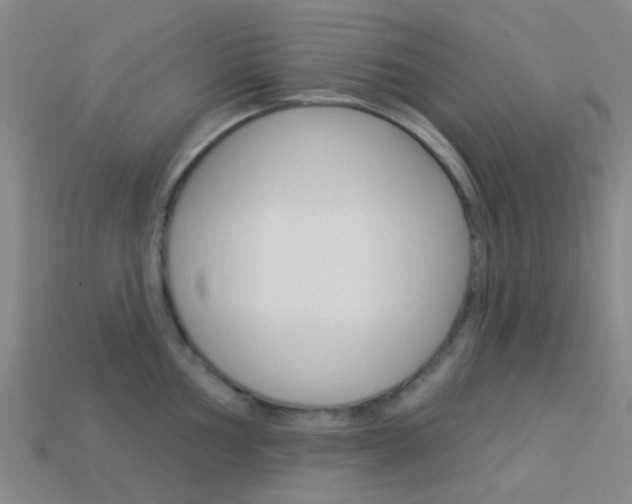 X0000114161002200910081130
