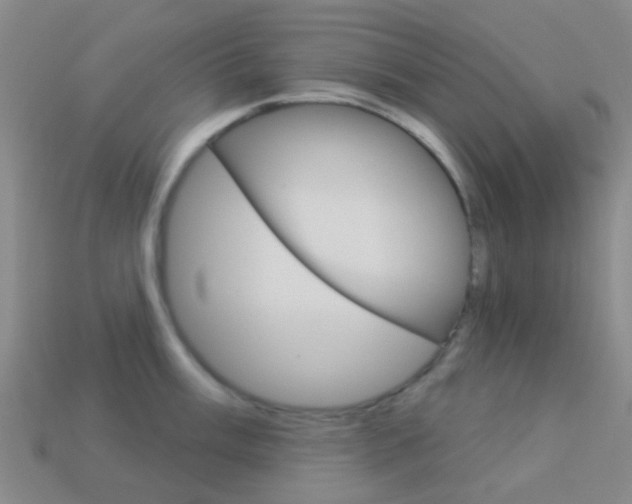 X0000114161003200910081130