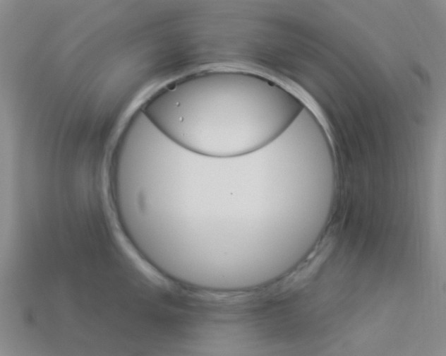 X0000114161005200910081130