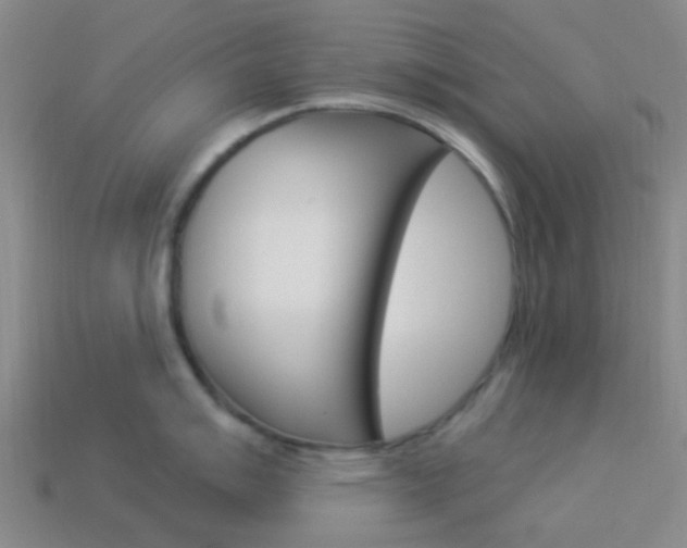 X0000114161007200910081130