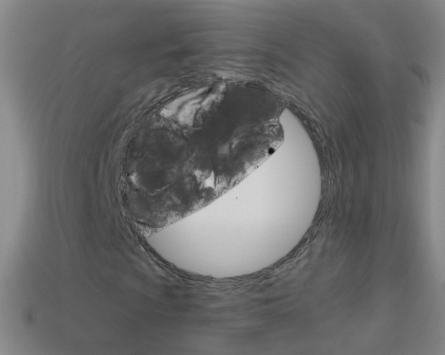X0000114161009200910081129
