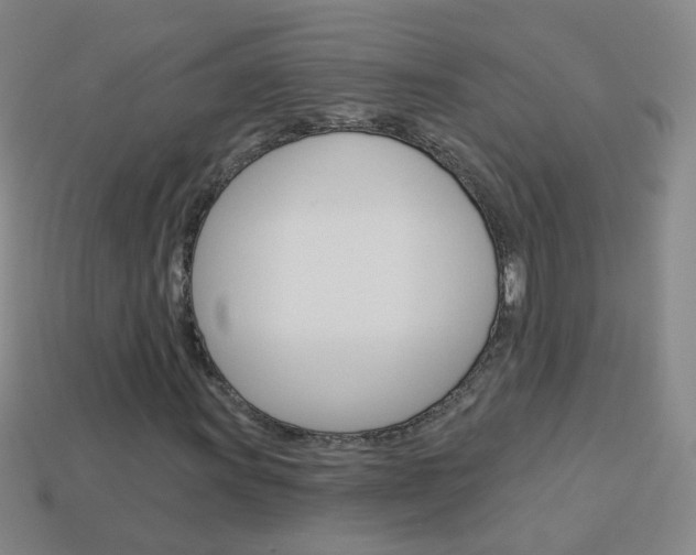 X0000114161011200910081129