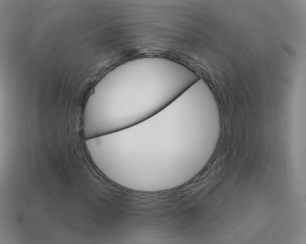 X0000114161012200910081129