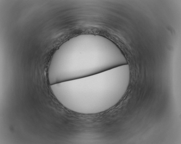 X0000114161013200910081129