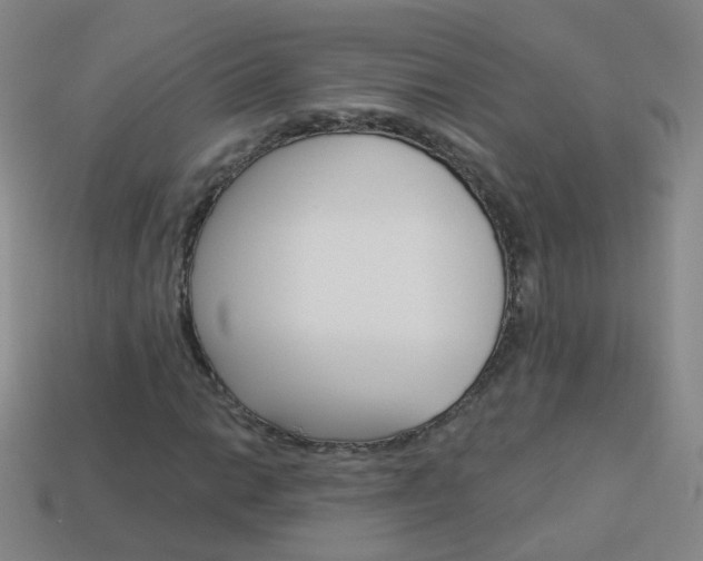 X0000114161014200910081129