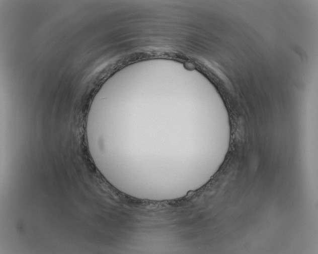 X0000114161015200910081129