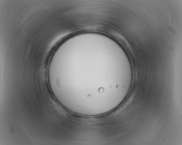 X0000114161019200910081129