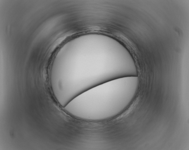 X0000114161023200910081129