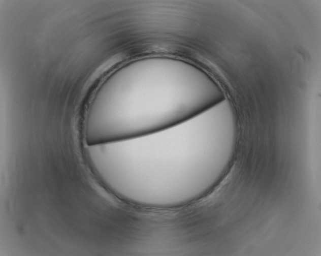 X0000114161026200910081129