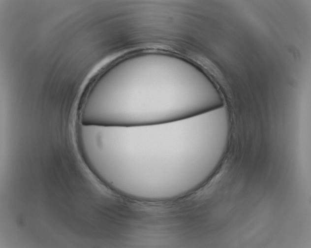 X0000114161028200910081129